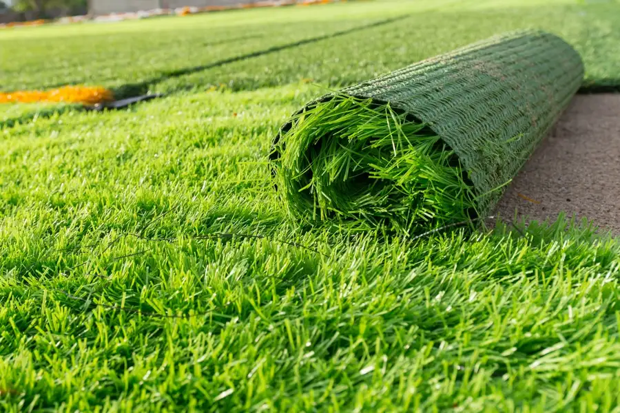 Artificial Turf and Tree Removal 