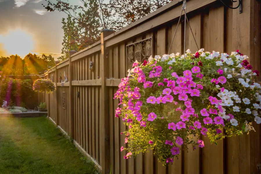 Reliable Fencing Contractors in San Jose, CA